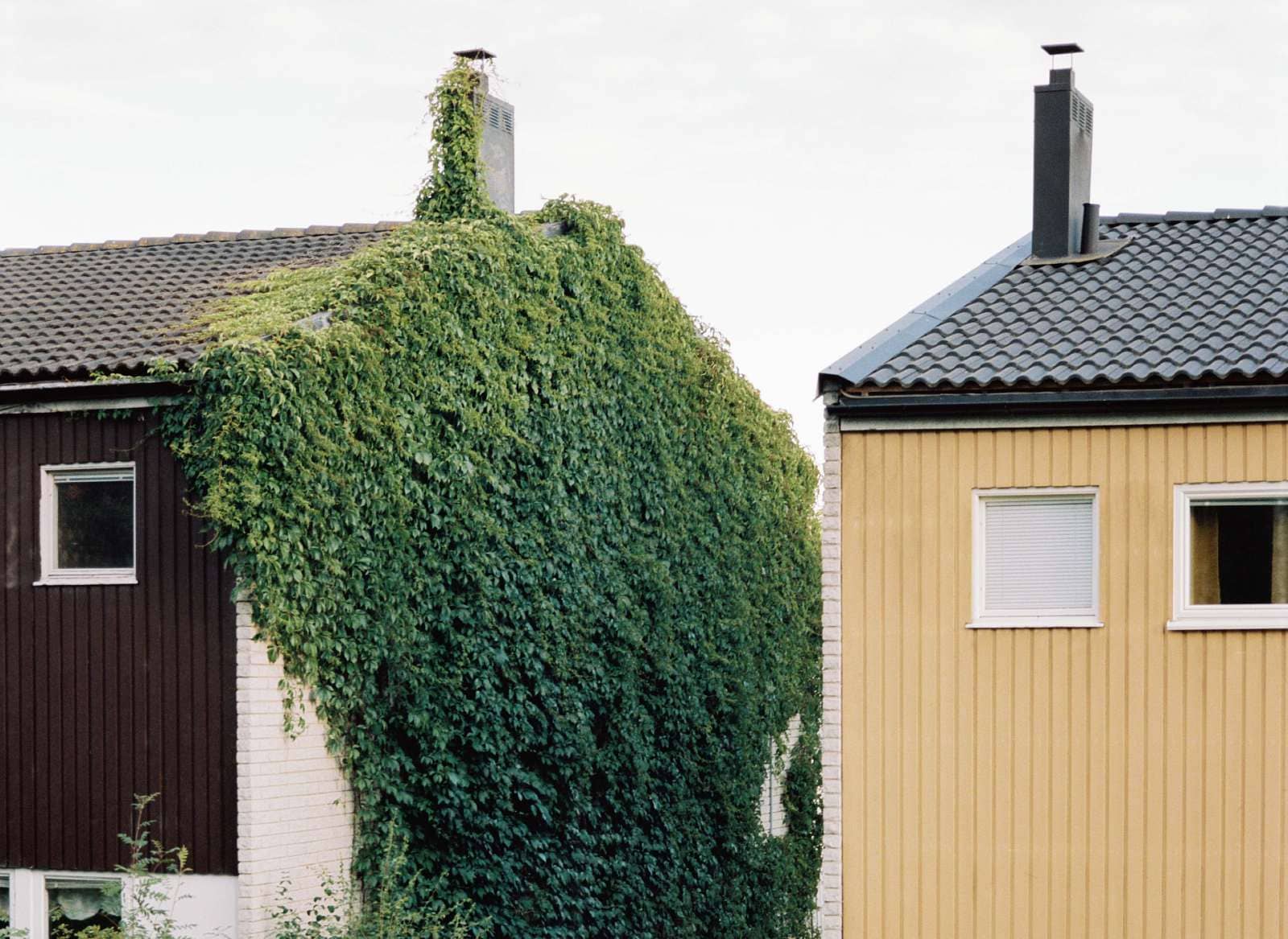 Fasaden på två hus.